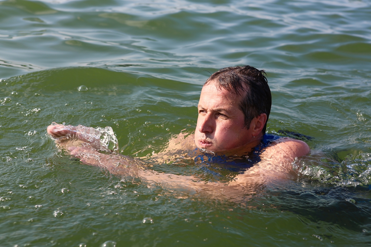 Willi beim Schwimmen im Ammersee.