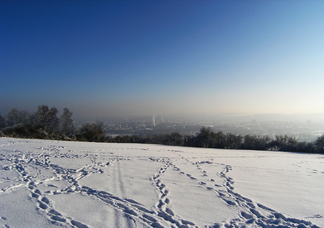 Die Winzerer Höhen bieten einen tollen Blick über die Stadt.