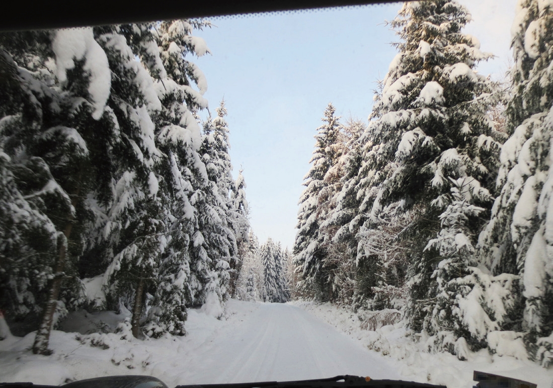 Angeblich soll es endlich wieder mal ein toller Winter werden!