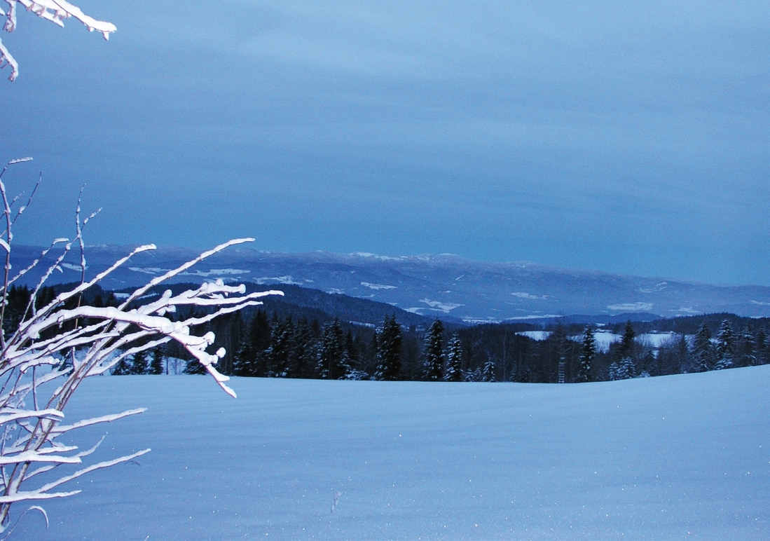 Herrliche Schneeschuhrouten im Bayerischen Wald.