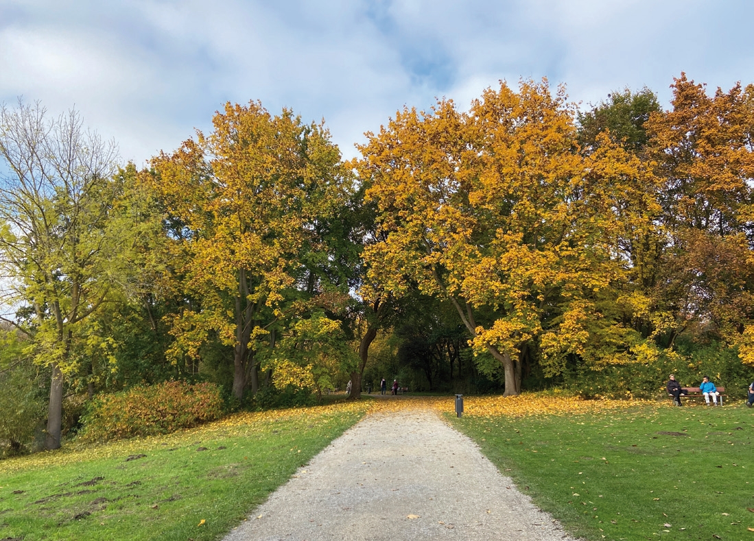 Die Natur ist bestens erholt – sie konnte endlich aufatmen.