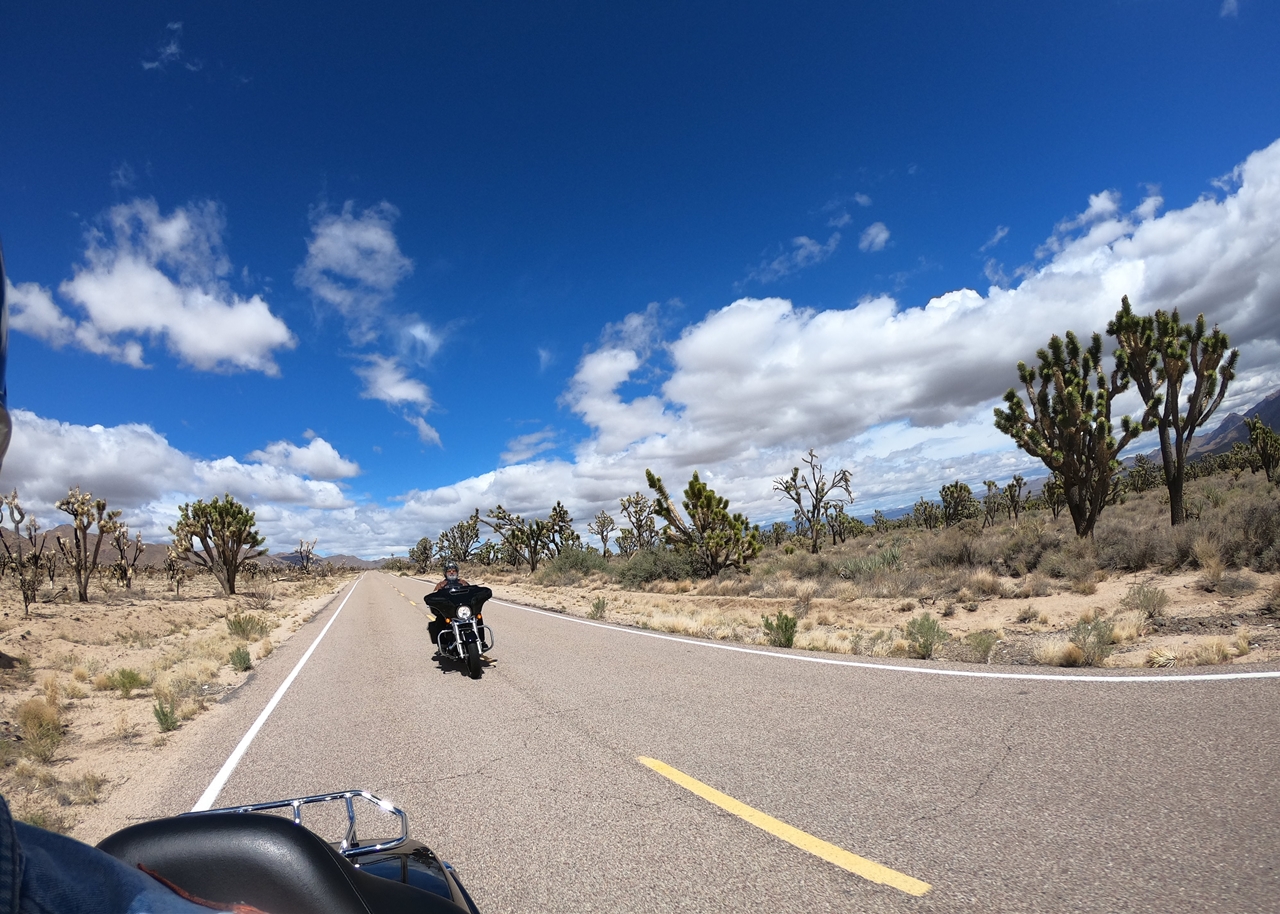 Unter der Sonne Kaliforniens: Nur die Weite des Himmels und die Motoren der Harleys – ein Traum.