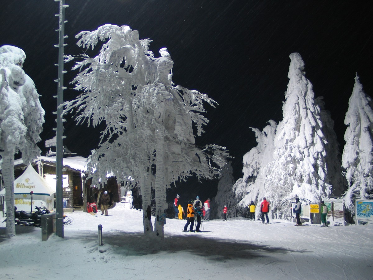 Beste Schneeverhältnisse, Skifahren und Rodeln auf dem Hohen Bogen.