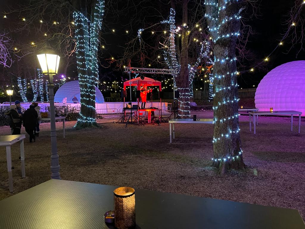 Winterzauber im Prüfeninger Schlossgarten mit tapfer in die Leere klampfendem Künstler.