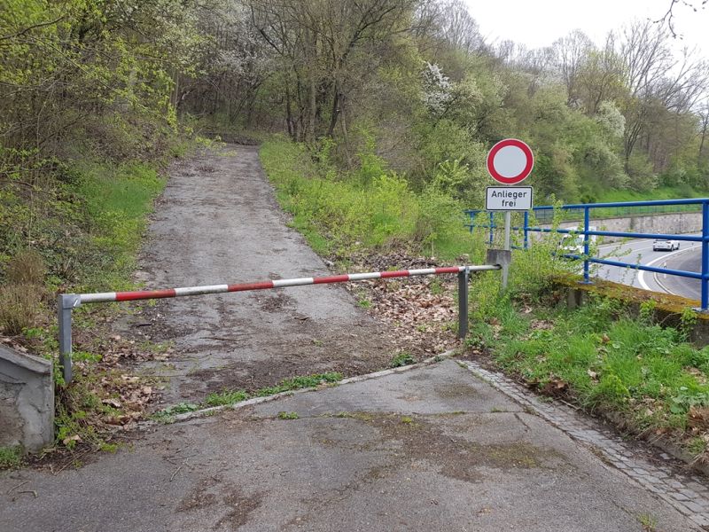 Über diesen Waldweg kommt man zum mysteriösen Stollen.