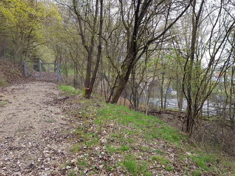 Folgt man dem Waldweg, gelangt man zum Pfaffensteiner Tunnel.