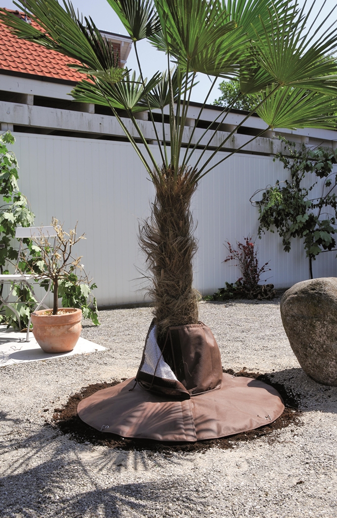 Rückschnitt und Kälteschutz im Garten