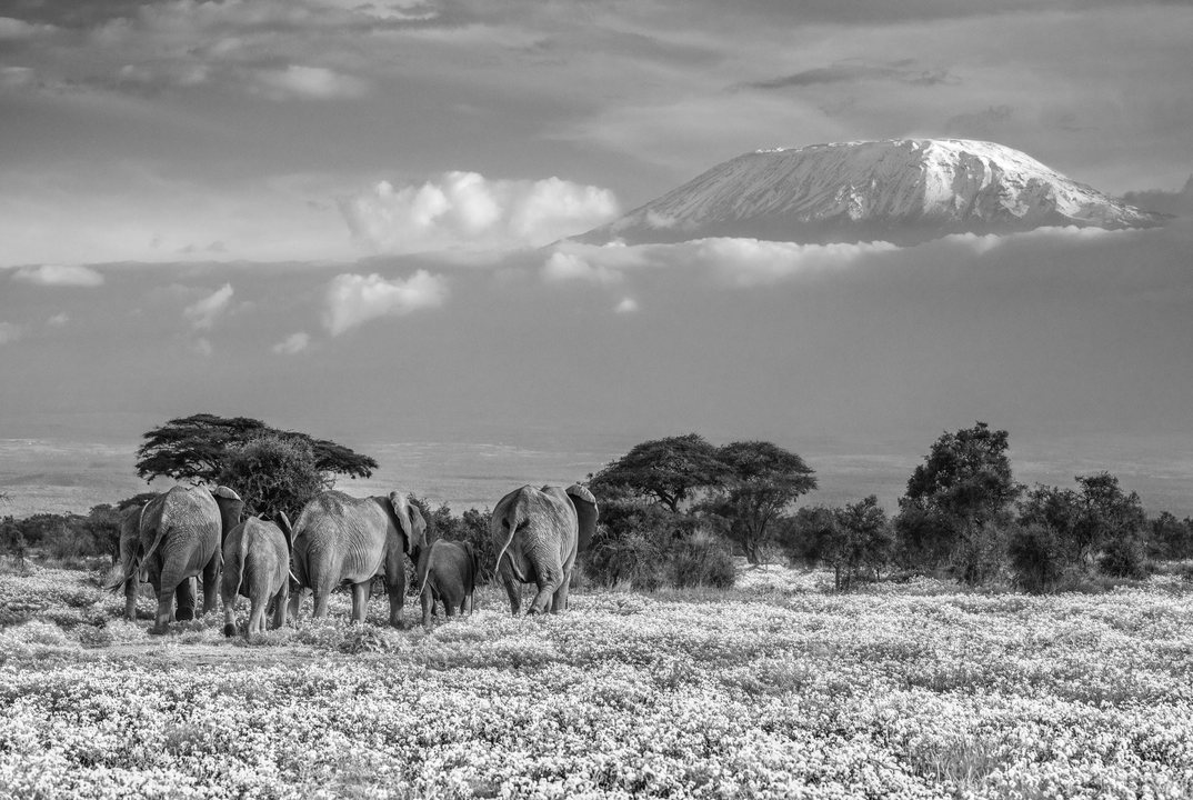 David Yarrow im Interview mit Nikon