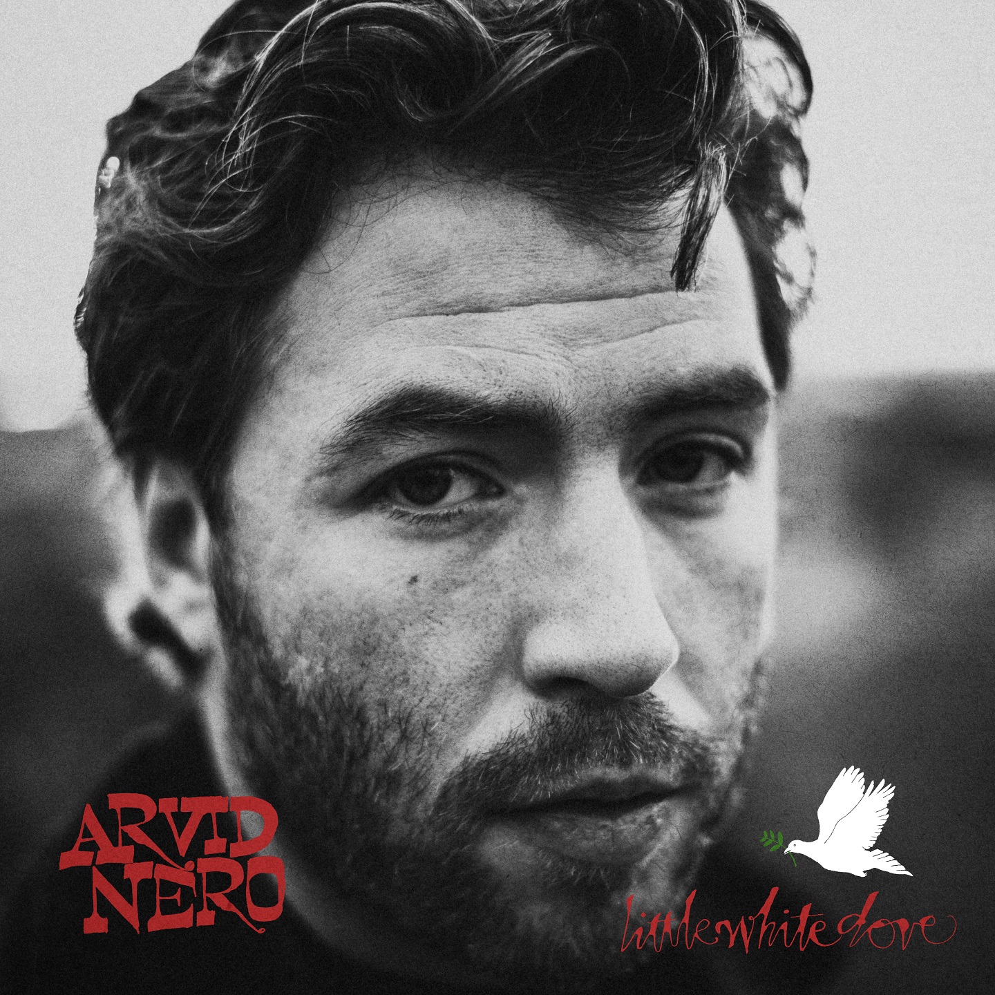 Arvid Nero – Little White Dove