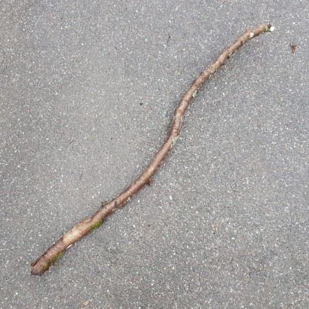 Aus bayerischen Polizeiberichten | Regensburg: Eritreer geht mit gr&ouml;&szlig;erem Ast auf Tankstellensicherheitsdienst los