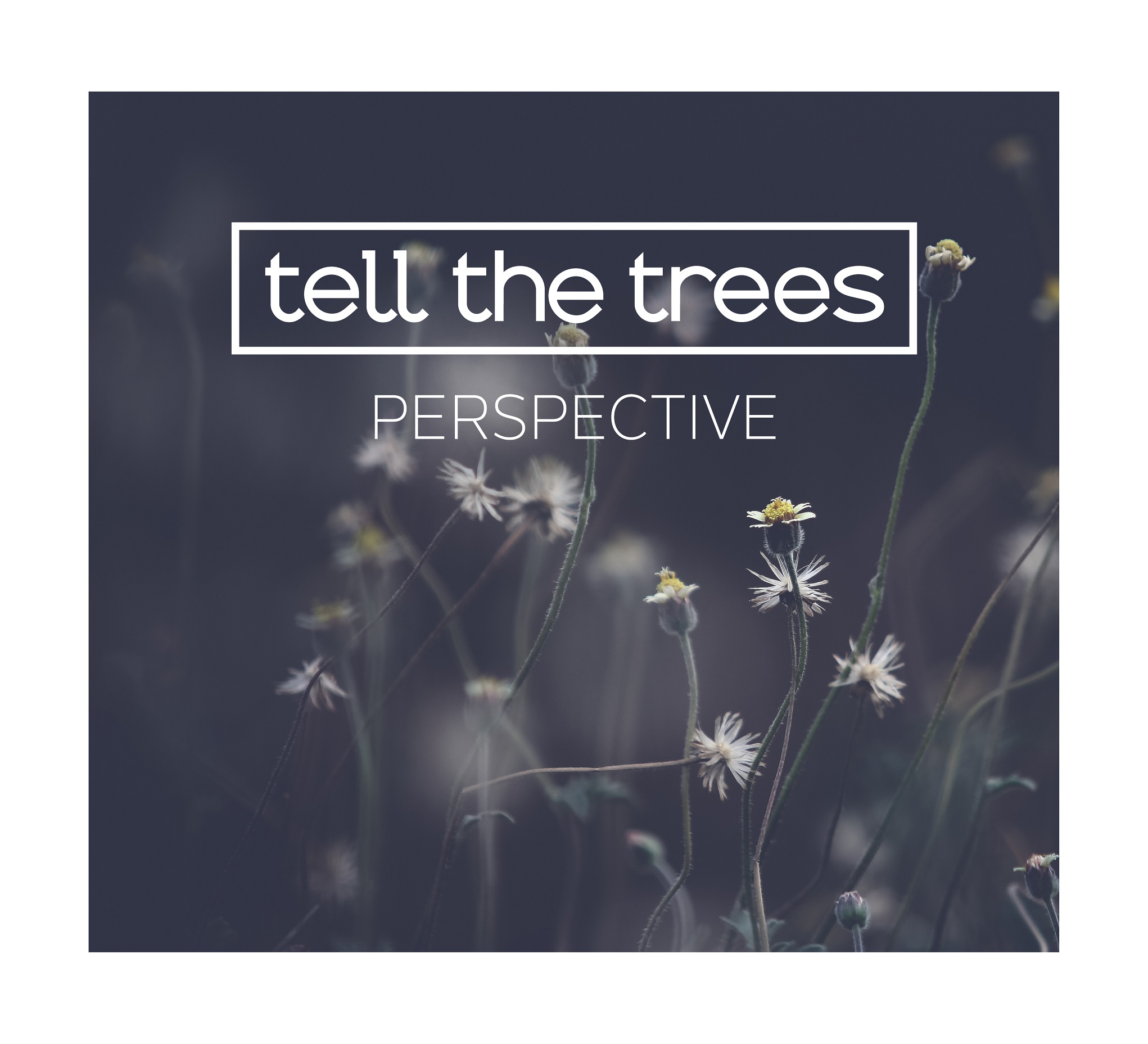 CD-Kritik | Tell The Trees – Perspective