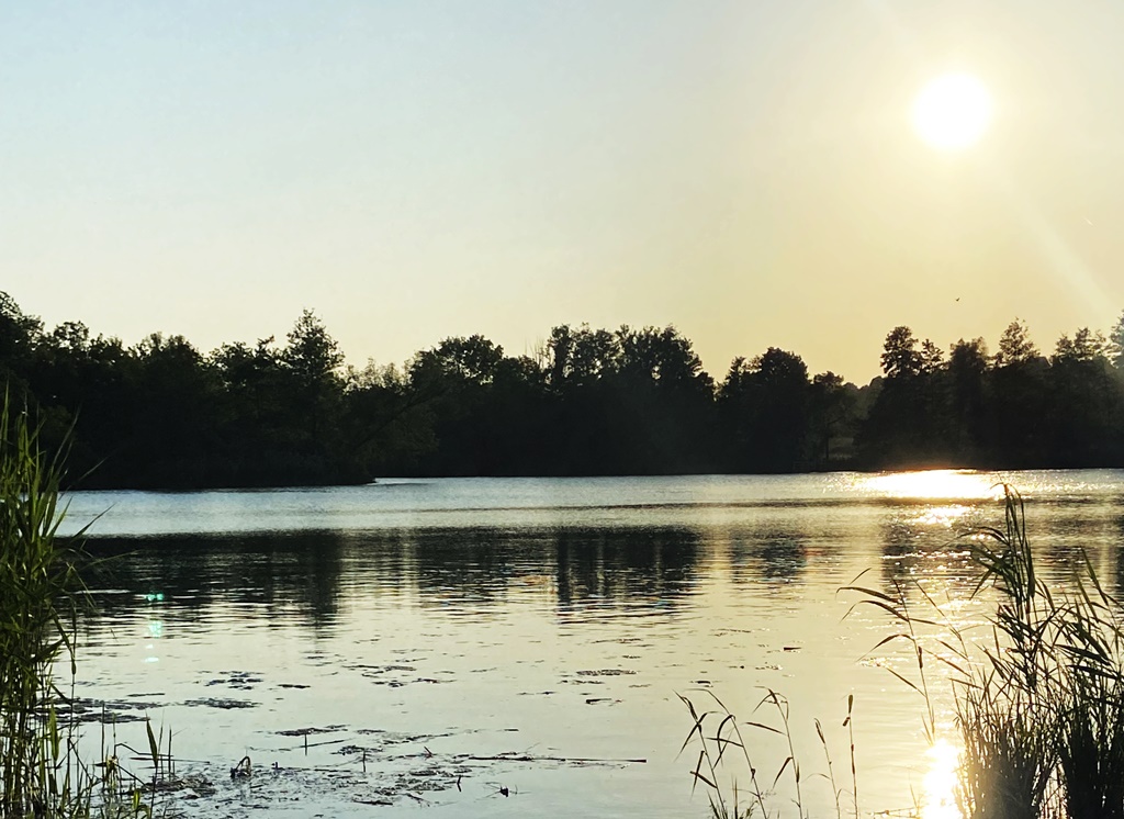 Baden in der Donau und im Main-Donau-Kanal