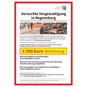 Aus bayerischen Polizeiberichten | Fahndung: Versuchte Vergewaltigung durch Nordafrikaner in Regensburg