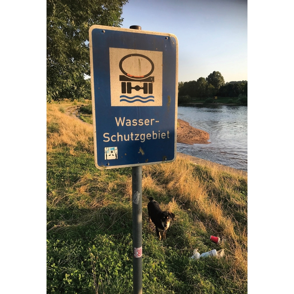 Nachgefragt | Der Hundestrand am Pielmühler Wehr: Beamtenmikado contra Umweltschutz