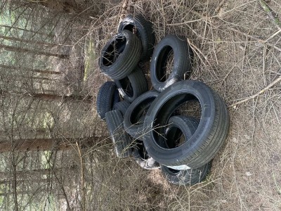 Nachgefragt: Illegale Reifendeponie im Wald bei Seedorf