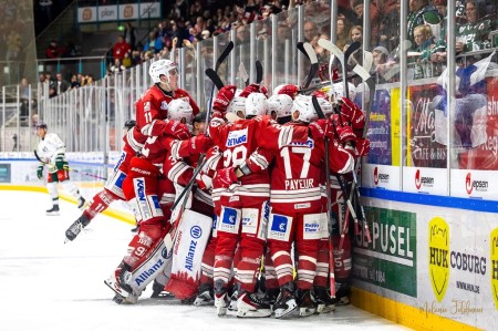 Eisb&auml;ren starten Tagesticketverkauf