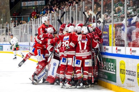 Eisbären starten Tagesticketverkauf