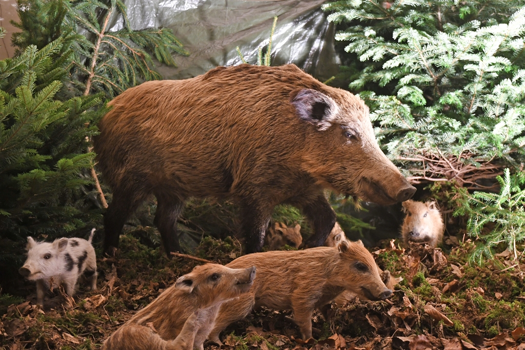 "Romantischer Weihnachtsmarkt": „Tag des Waldes und der Jagd“
