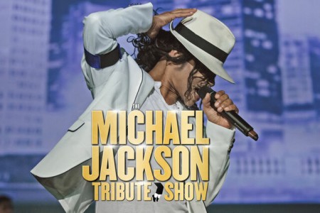 The Michael Jackson Tribute Show