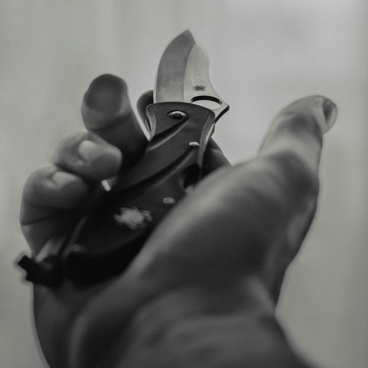 Aus bayerischen Polizeiberichten | Donau-Einkaufszentrum: Syrischer Ladendieb zieht Messer – Polizei überwältigt ihn mit Pfefferspray – in Klinik eingeliefert