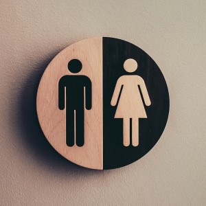 Aus bayerischen Polizeiberichten | Nürnberg: Jordanier belästigt Frau auf Toilette