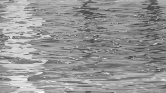Nachgefragt | Ausländerproblem im Freibad Pruntrut – wie sieht‘s aus in Regensburg?